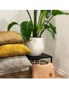 Cushion | Barista | Skriver Collection