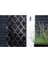 Harlequin